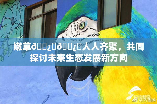 嫩草🌿‌🌿‌人人齐聚，共同探讨未来生态发展新方向