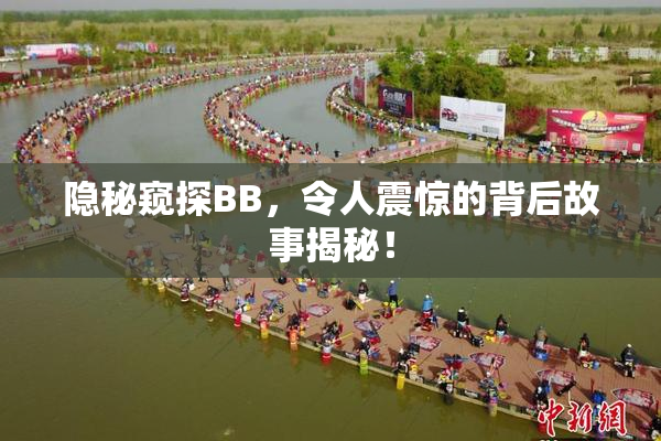 隐秘窥探BB，令人震惊的背后故事揭秘！