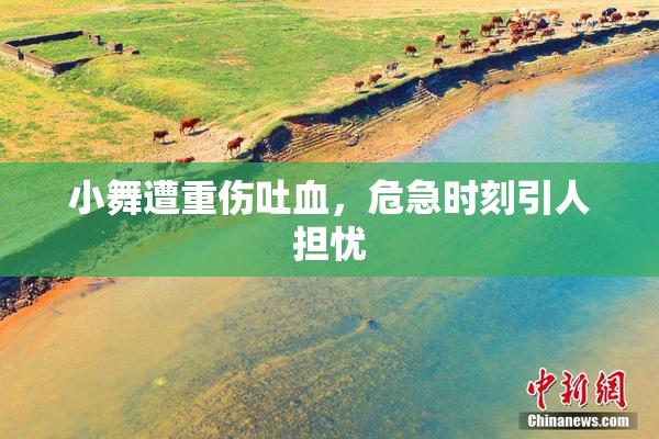 小舞遭重伤吐血，危急时刻引人担忧