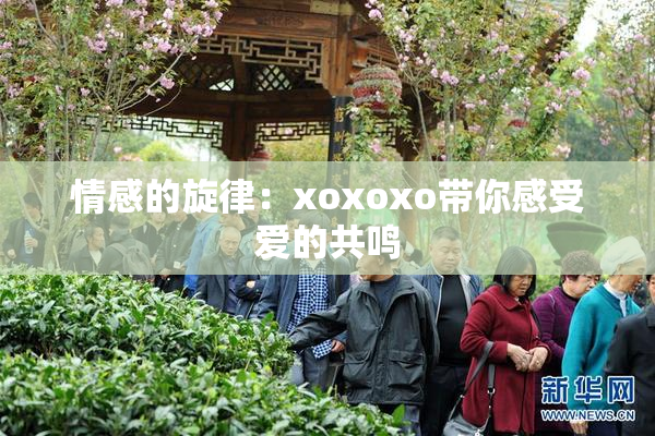 情感的旋律：xoxoxo带你感受爱的共鸣
