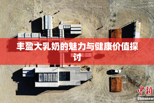 丰盈大乳奶的魅力与健康价值探讨