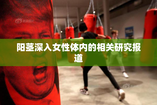 阳茎深入女性体内的相关研究报道