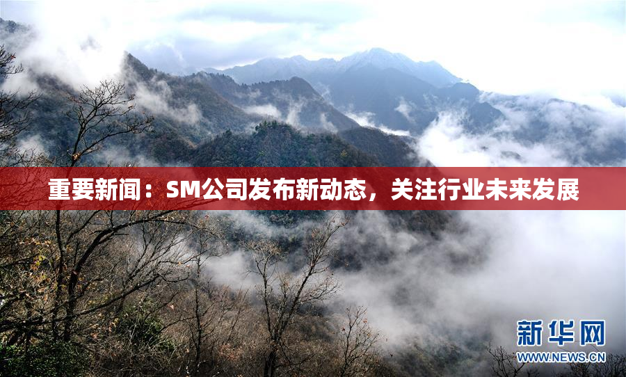 重要新闻：SM公司发布新动态，关注行业未来发展