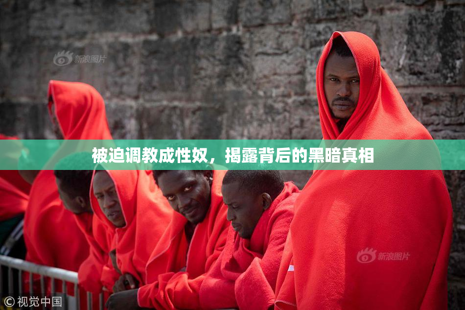 被迫调教成性奴，揭露背后的黑暗真相