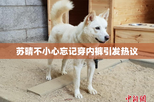 苏晴不小心忘记穿内裤引发热议