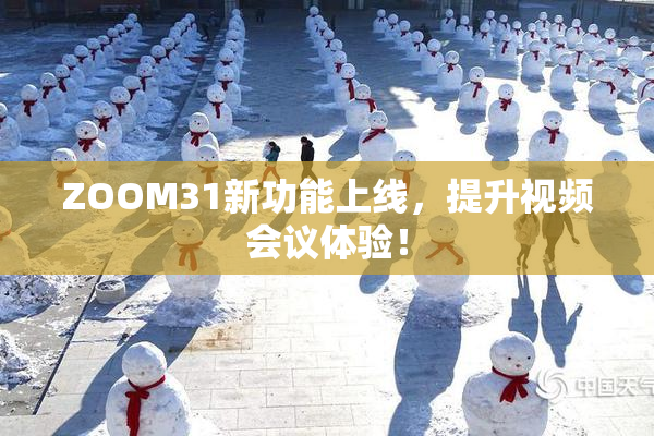 ZOOM31新功能上线，提升视频会议体验！