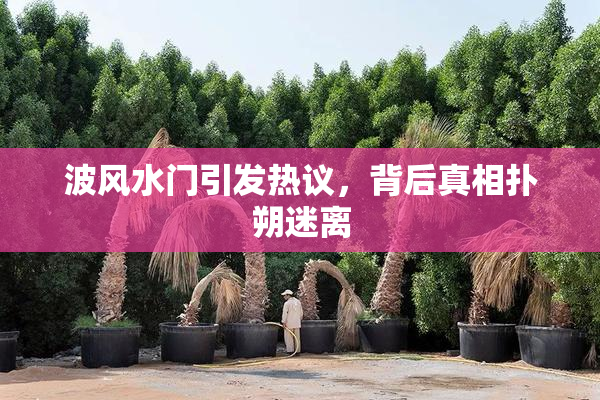 波风水门引发热议，背后真相扑朔迷离