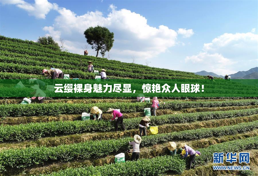 云缨裸身魅力尽显，惊艳众人眼球！