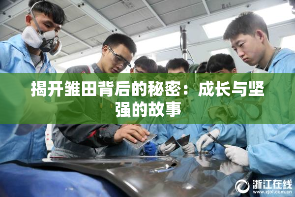 揭开雏田背后的秘密：成长与坚强的故事