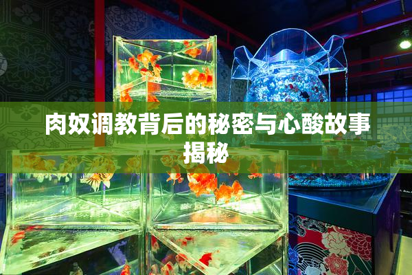 肉奴调教背后的秘密与心酸故事揭秘