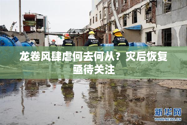 龙卷风肆虐何去何从？灾后恢复亟待关注