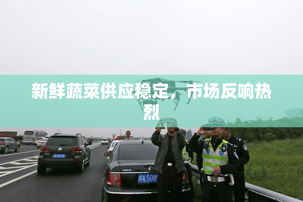 新鲜蔬菜供应稳定，市场反响热烈