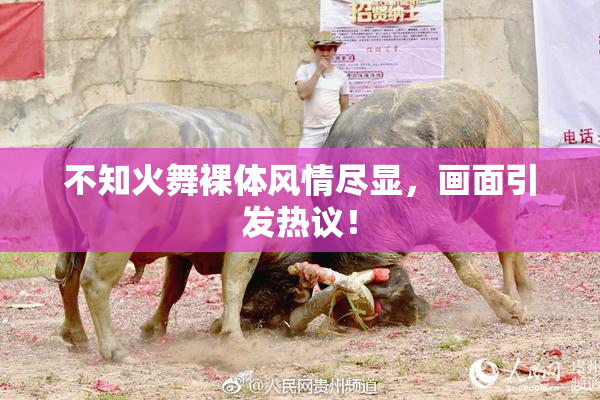 不知火舞裸体风情尽显，画面引发热议！