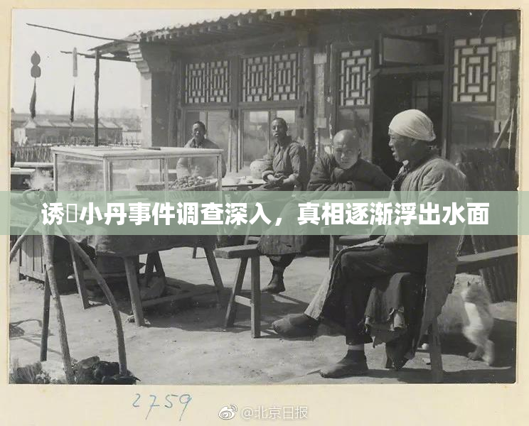 诱奷小丹事件调查深入，真相逐渐浮出水面