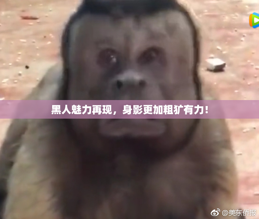 黑人魅力再现，身影更加粗犷有力！