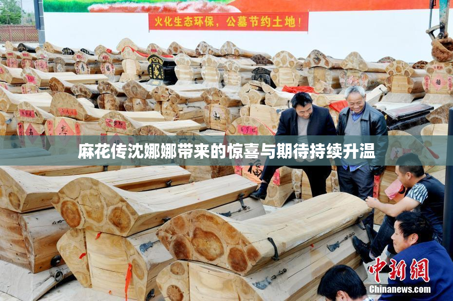 麻花传沈娜娜带来的惊喜与期待持续升温