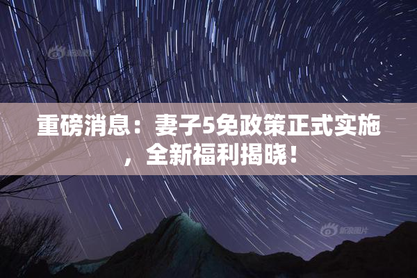 重磅消息：妻子5免政策正式实施，全新福利揭晓！