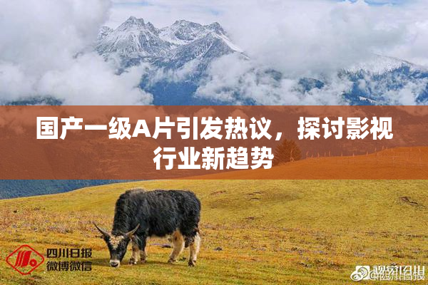 国产一级A片引发热议，探讨影视行业新趋势