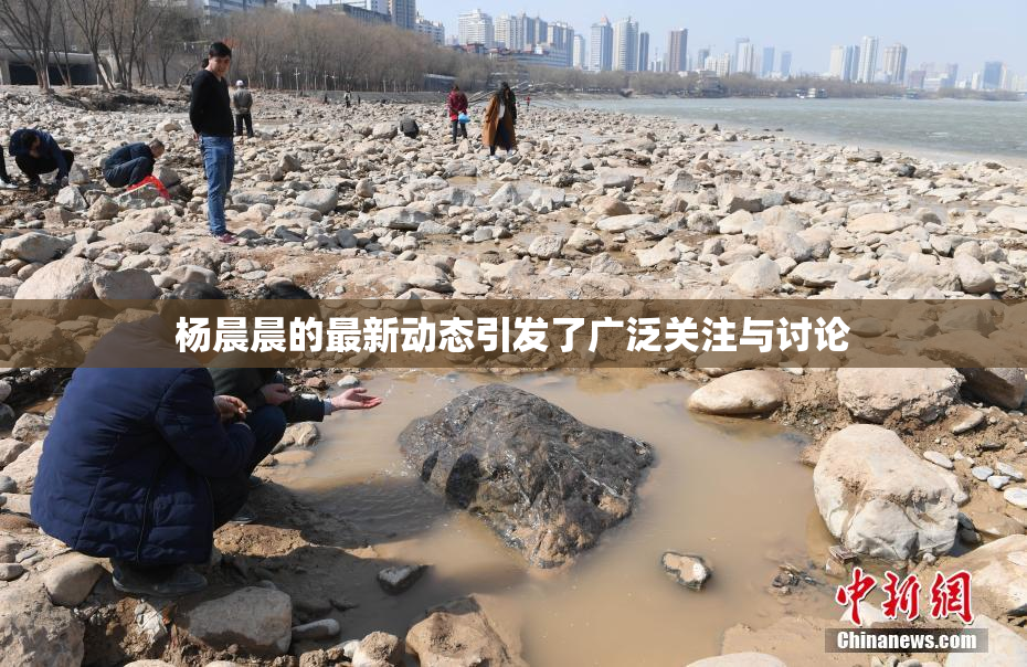 杨晨晨的最新动态引发了广泛关注与讨论