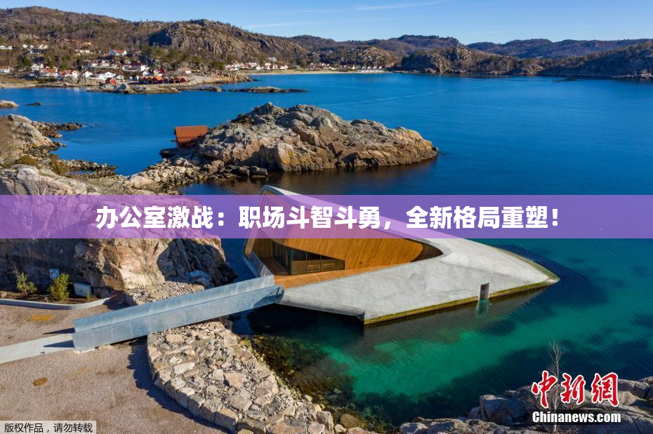 办公室激战：职场斗智斗勇，全新格局重塑！