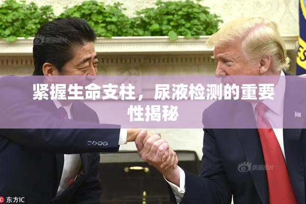 紧握生命支柱，尿液检测的重要性揭秘