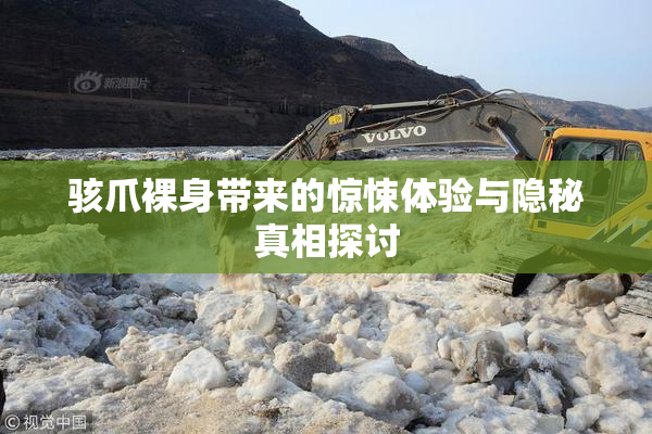 骇爪裸身带来的惊悚体验与隐秘真相探讨