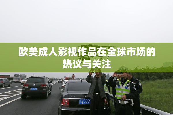欧美成人影视作品在全球市场的热议与关注