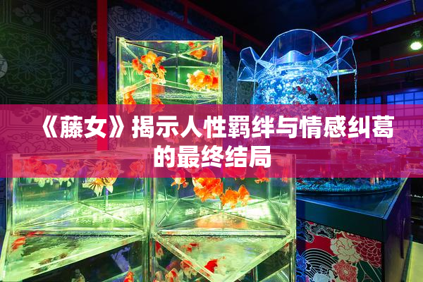 《藤女》揭示人性羁绊与情感纠葛的最终结局