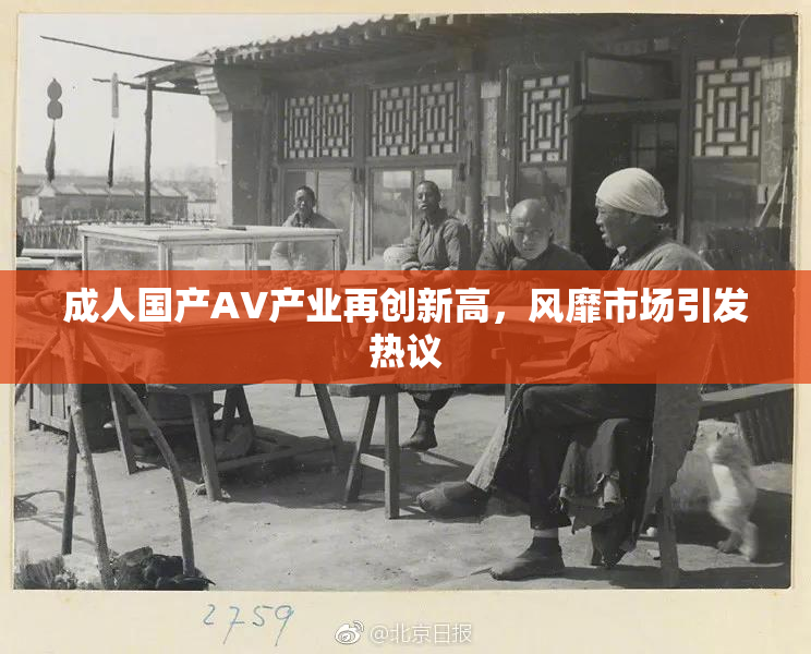 成人国产AV产业再创新高，风靡市场引发热议