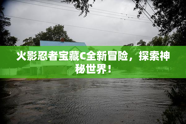 火影忍者宝藏C全新冒险，探索神秘世界！