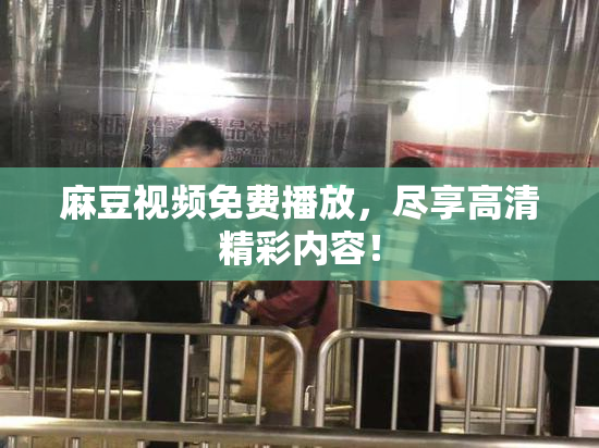 麻豆视频免费播放，尽享高清精彩内容！
