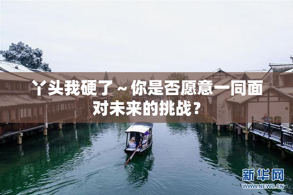 丫头我硬了～你是否愿意一同面对未来的挑战？