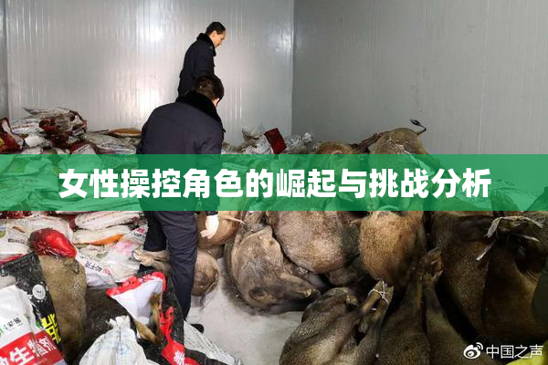 女性操控角色的崛起与挑战分析