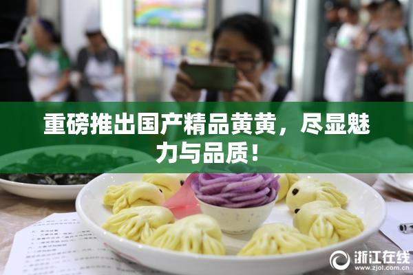 重磅推出国产精品黄黄，尽显魅力与品质！