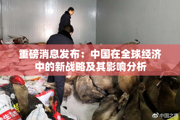 重磅消息发布：中国在全球经济中的新战略及其影响分析