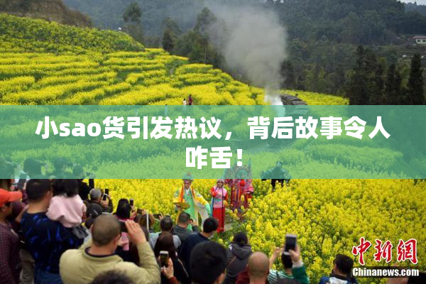 小sao货引发热议，背后故事令人咋舌！