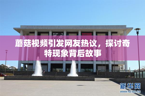 蘑菇视频引发网友热议，探讨奇特现象背后故事