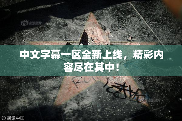 中文字幕一区全新上线，精彩内容尽在其中！