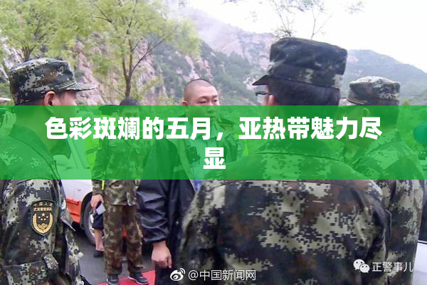 色彩斑斓的五月，亚热带魅力尽显
