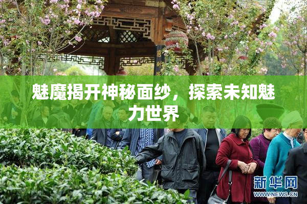 魅魔揭开神秘面纱，探索未知魅力世界