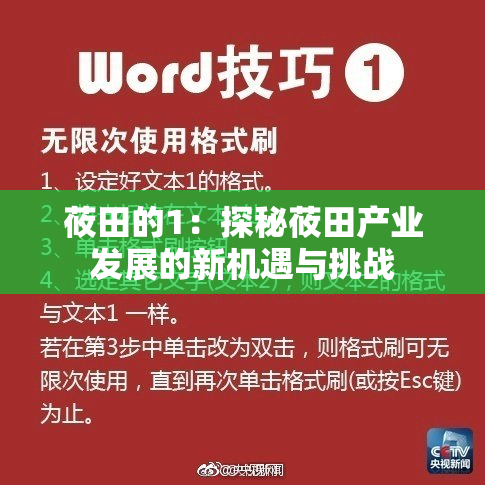 莜田的1：探秘莜田产业发展的新机遇与挑战