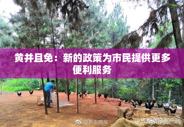 黄并且免：新的政策为市民提供更多便利服务
