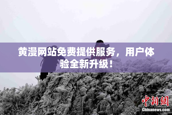 黄漫网站免费提供服务，用户体验全新升级！