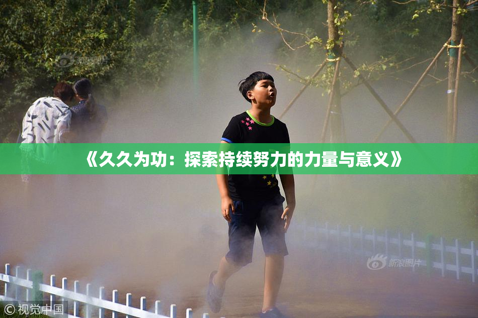 《久久为功：探索持续努力的力量与意义》