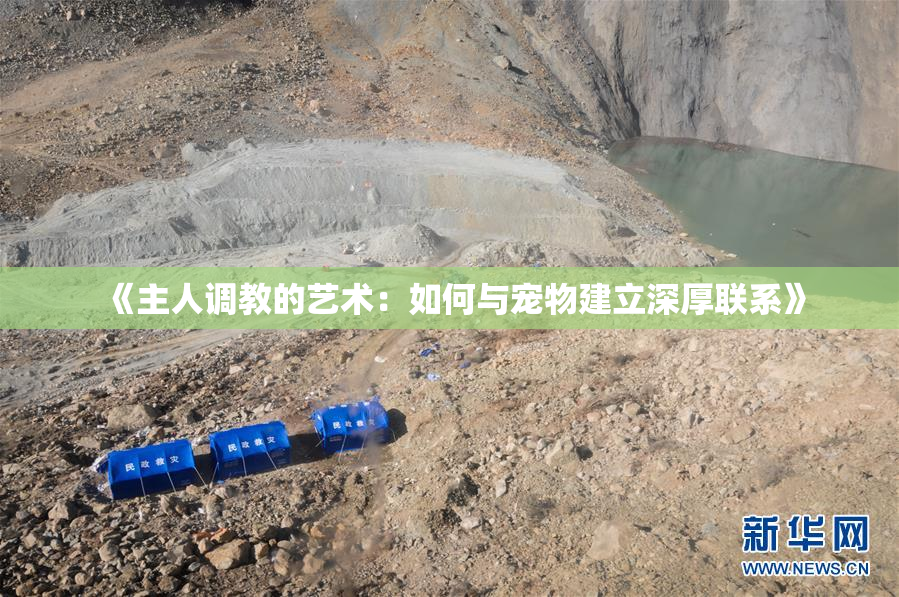 《主人调教的艺术：如何与宠物建立深厚联系》