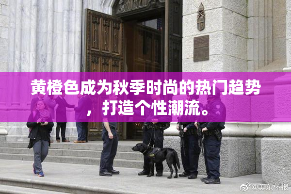 黄橙色成为秋季时尚的热门趋势，打造个性潮流。