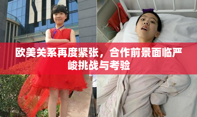 欧美关系再度紧张，合作前景面临严峻挑战与考验
