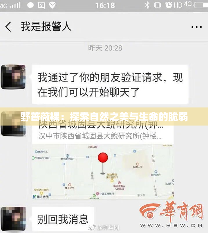 野蔷薇裸：探索自然之美与生命的脆弱