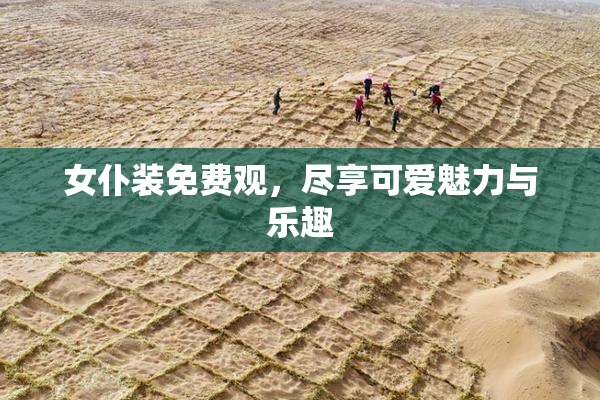 女仆装免费观，尽享可爱魅力与乐趣