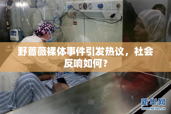 野蔷薇裸体事件引发热议，社会反响如何？
